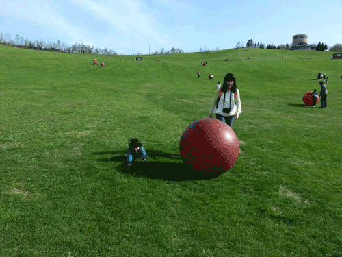 photo takinoparkredballs2.gif