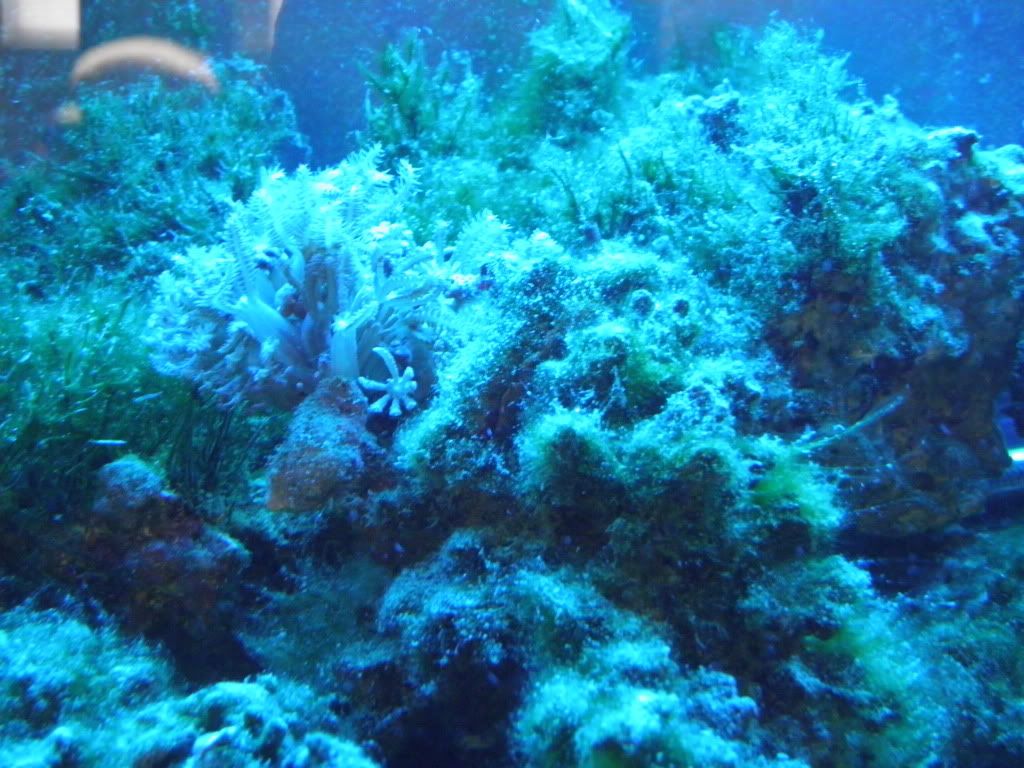 P3050262-Copy.jpg