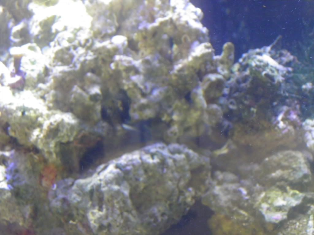 P9050030-Copy.jpg