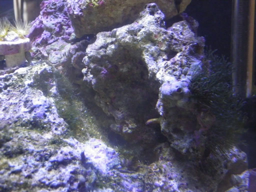 P9050033.jpg