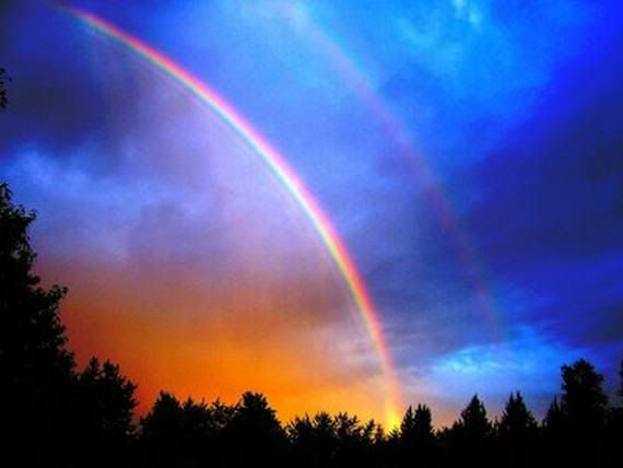 Rainbow Pictures, Images and Photos