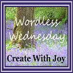 Wordless Wednesday – Brrr #WW