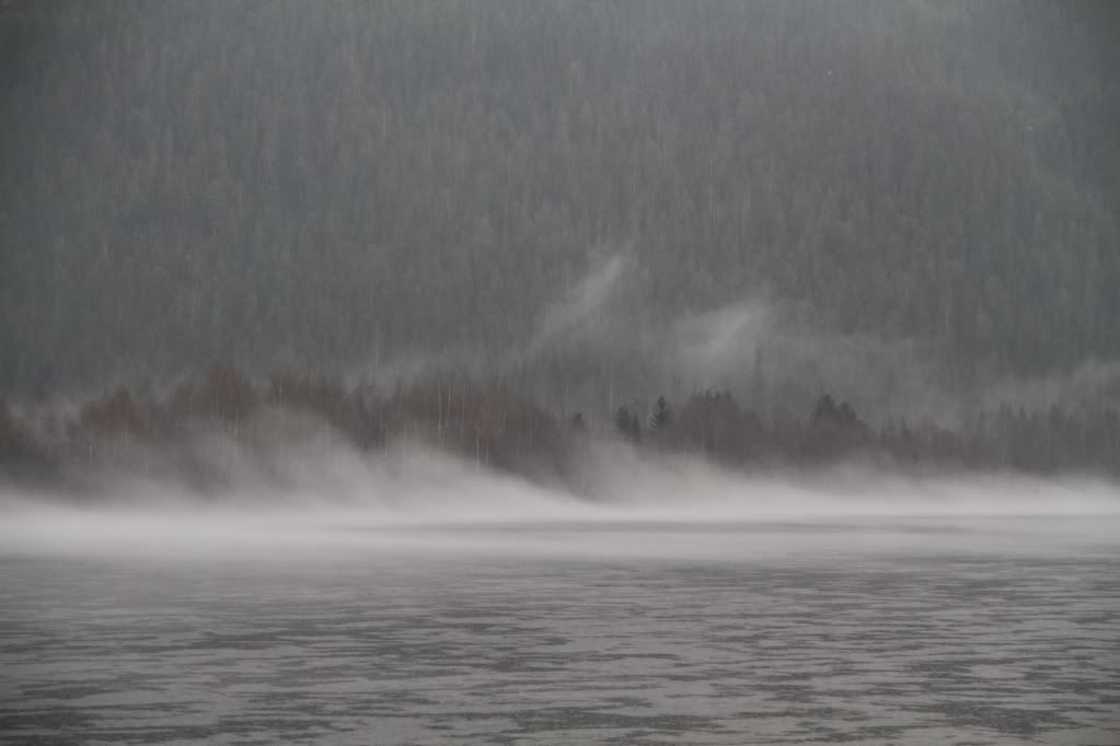 Deniz Resimleri (1. Katalog)