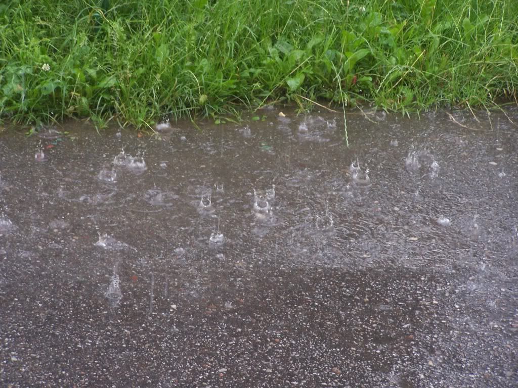 Damla ve Ya�mur Resimleri (3. Katalog)