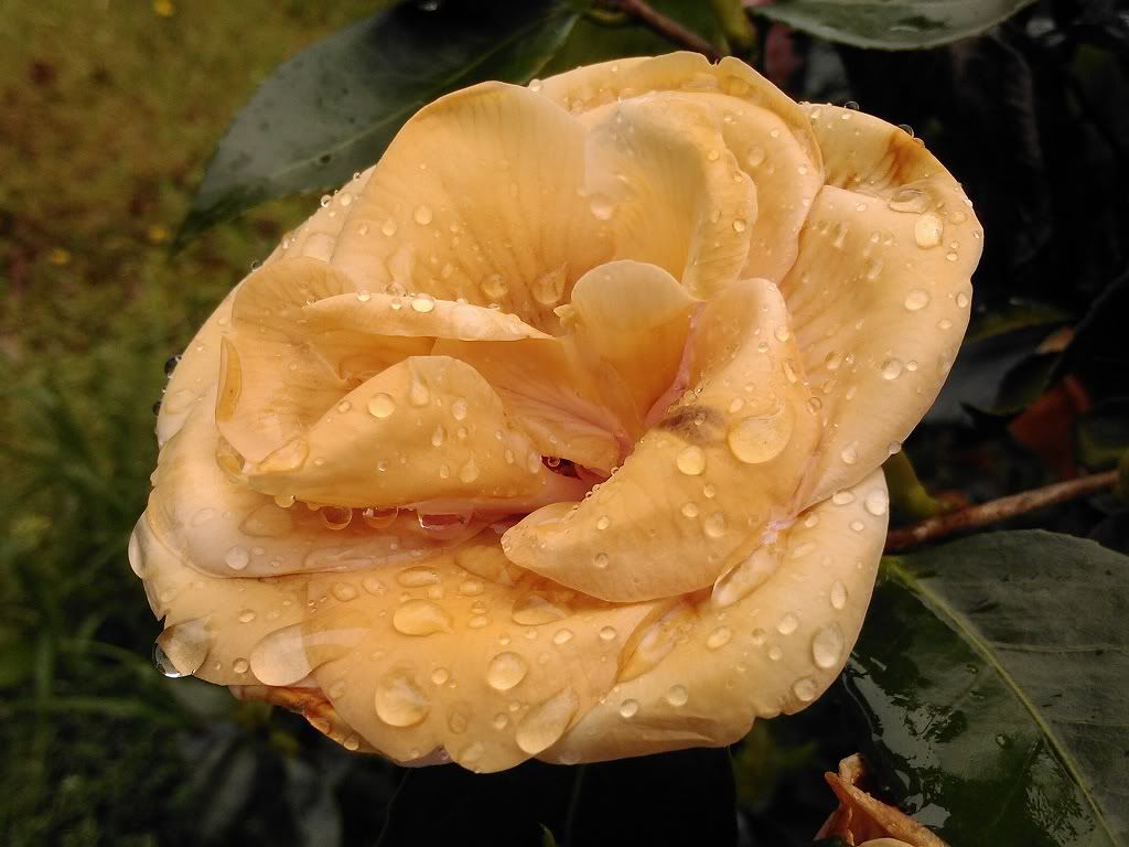 1024 768 IMG 20120420 163901 0