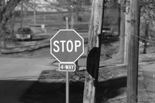 Black-White [Siyah Beyaz] Resimler (5. Kataog)