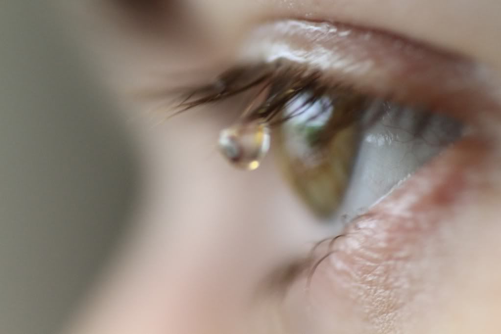 Gz Resimleri (6. Katalog)