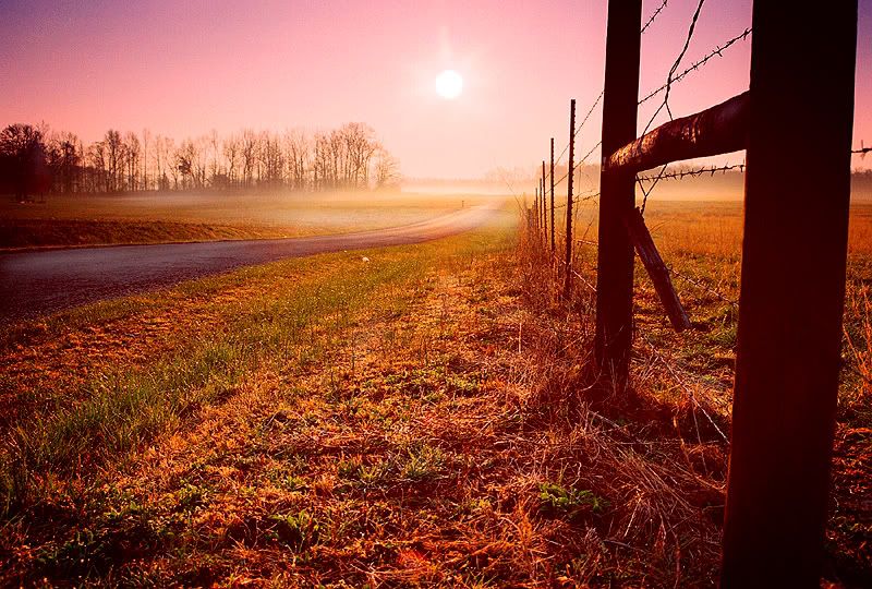 126097886 c2ecd1a134 o