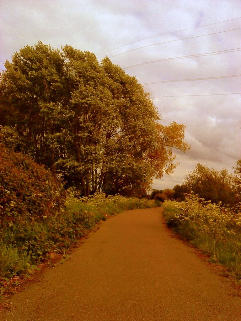 Yollar - Yol Resimleri (1. Katalog)