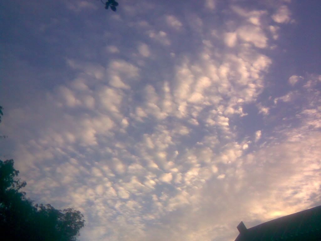 Bulut Resimleri (2. Katalog)