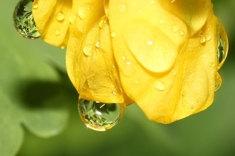 1droplets 1805088653
