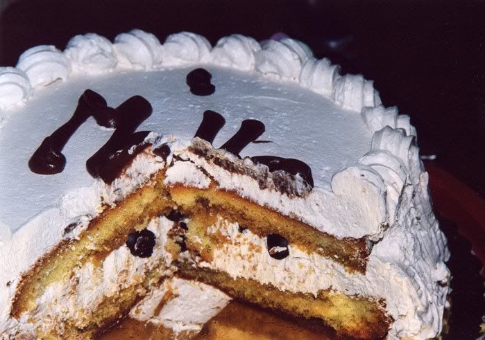 Pasta Resimleri (1. Katalog)