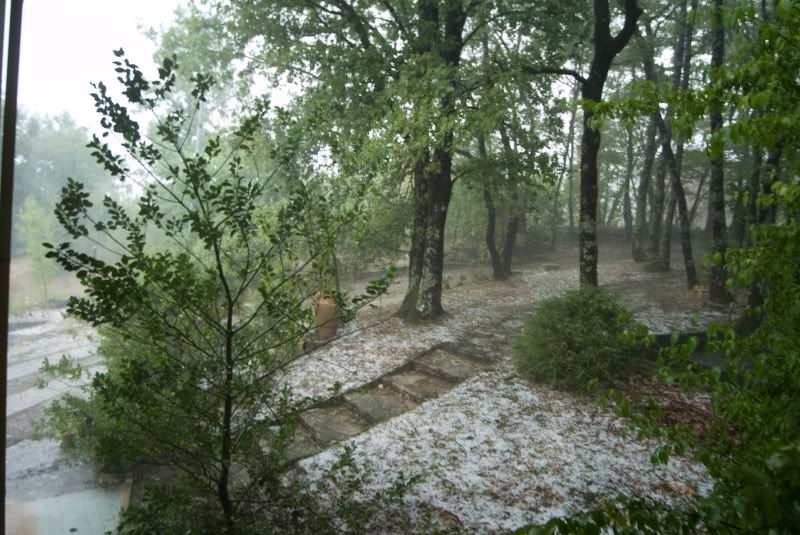 2009 08 13 DSCF0066ColleSorbo grandinata1