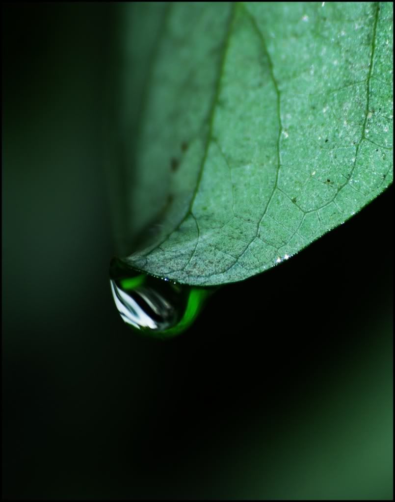 Damla ve Ya�mur Resimleri (3. Katalog)