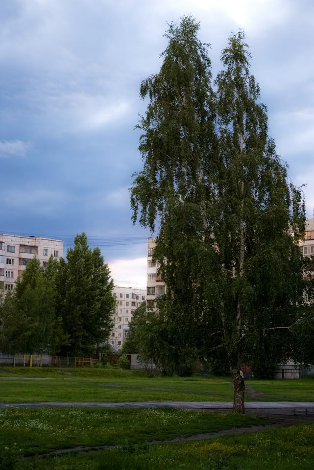 Aa Resimleri (4. Katalog)