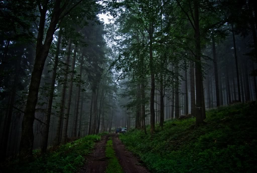 Aa Resimleri (4. Katalog)