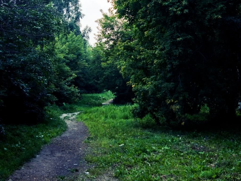 Yollar - Yol Resimleri (1. Katalog)