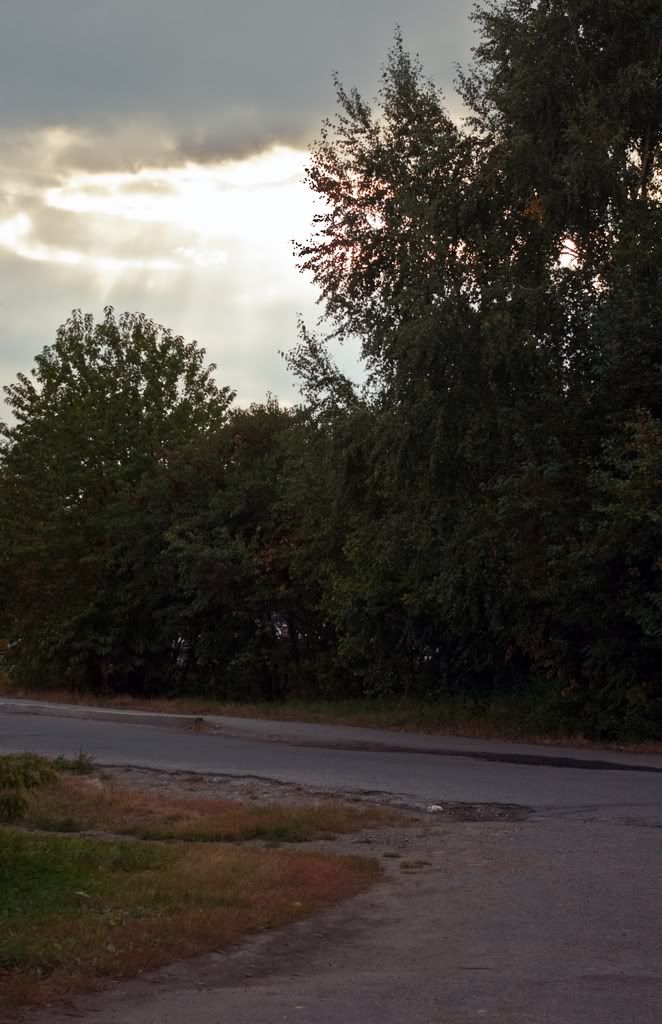 Yollar - Yol Resimleri (1. Katalog)