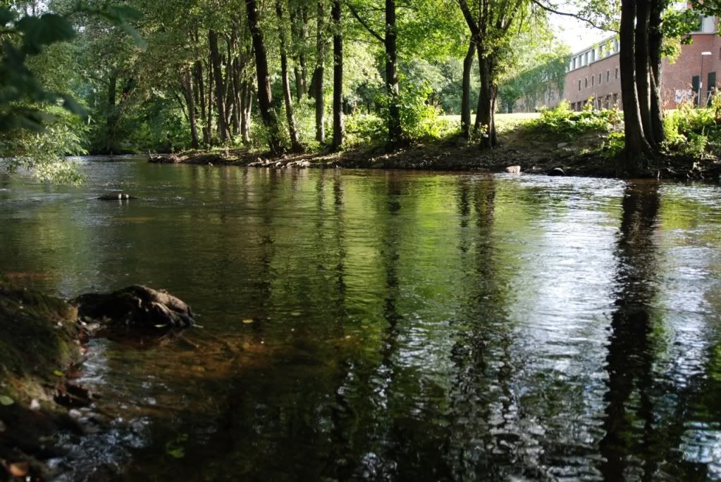 Aa Resimleri (4. Katalog)