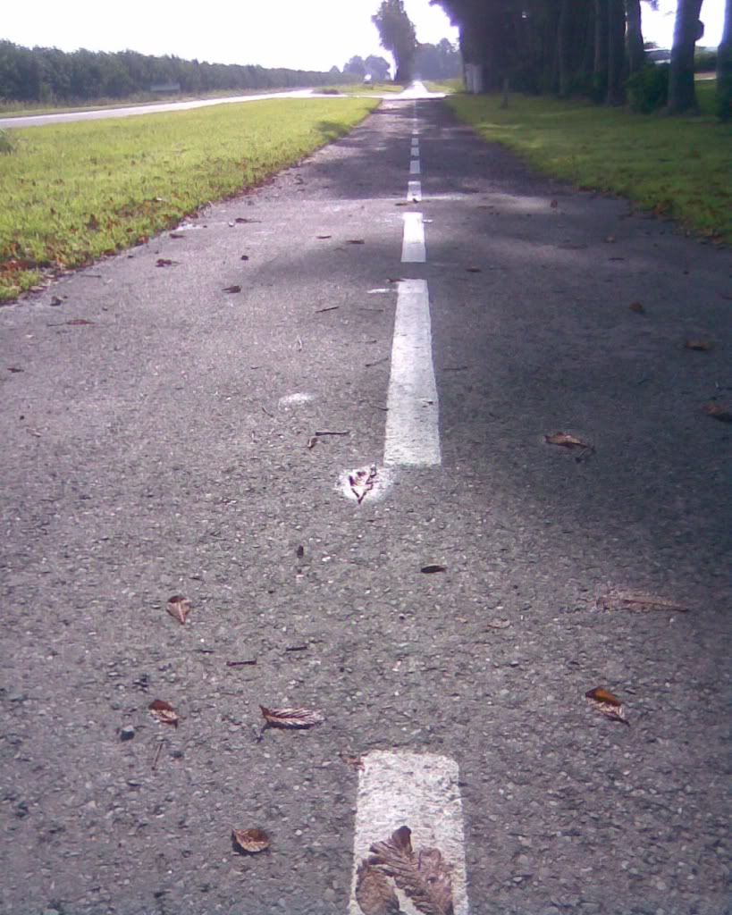 Yollar - Yol Resimleri (1. Katalog)