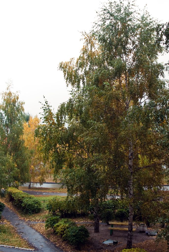 Aa Resimleri (4. Katalog)