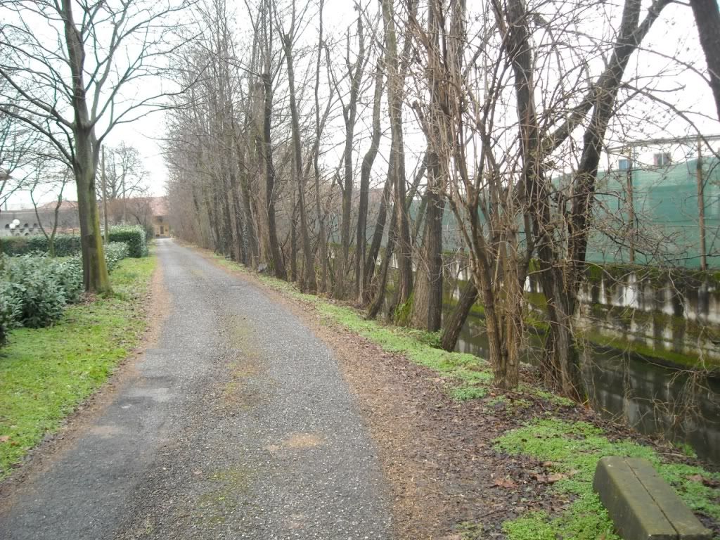 2011 02 26vialealberato