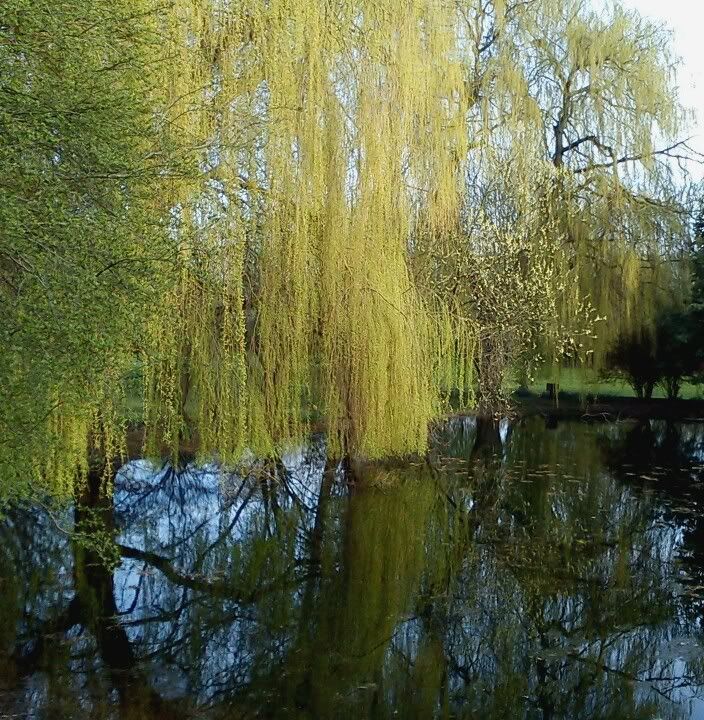 Aa Resimleri (4. Katalog)