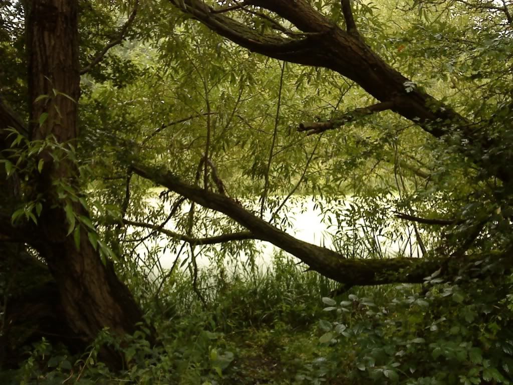 Aa Resimleri (4. Katalog)