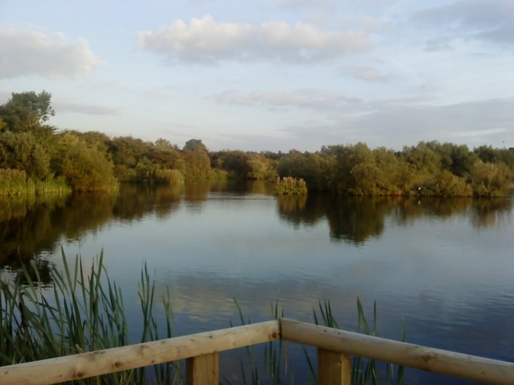 Aa Resimleri (4. Katalog)