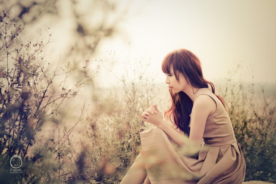 H�z�n Resimleri (1. Katalog)