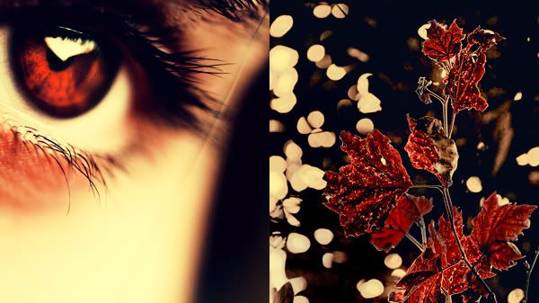 4d5951484f32a92b5bc151e140dd7d09