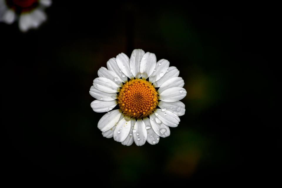 545697 299156760163413 609573256 n