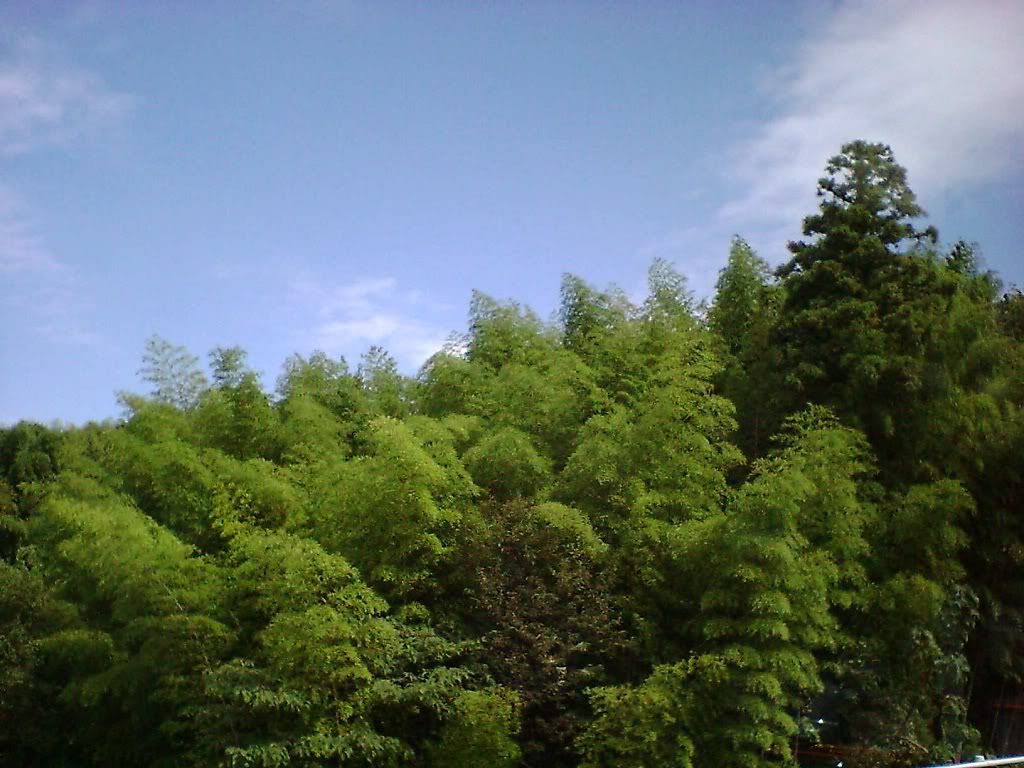 71024 768 VFMI0017 1