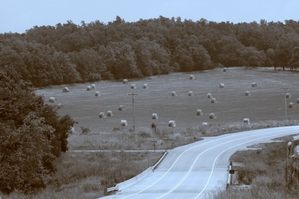 Yollar - Yol Resimleri (1. Katalog)