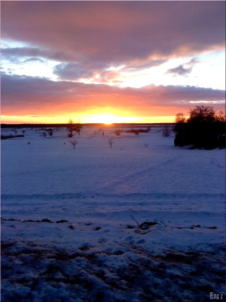 Gne Resimleri (1. Katalog)