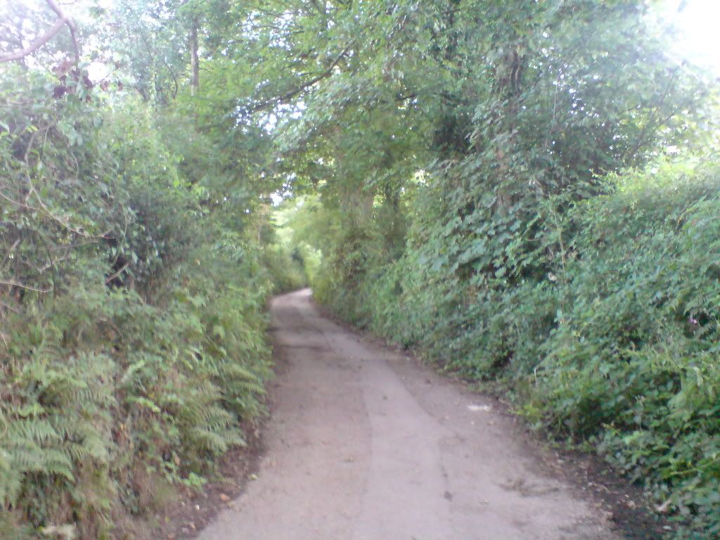 Yol Resimleri (2. Katalog)