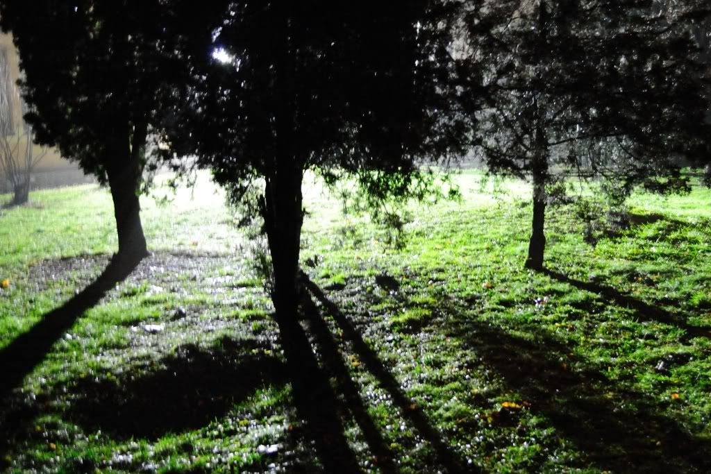 A�a� Resimleri (4. Katalog)