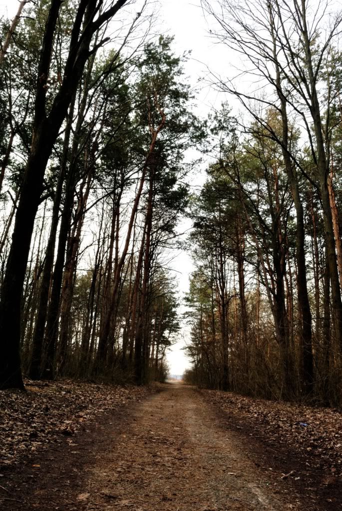 Yol Resimleri (2. Katalog)