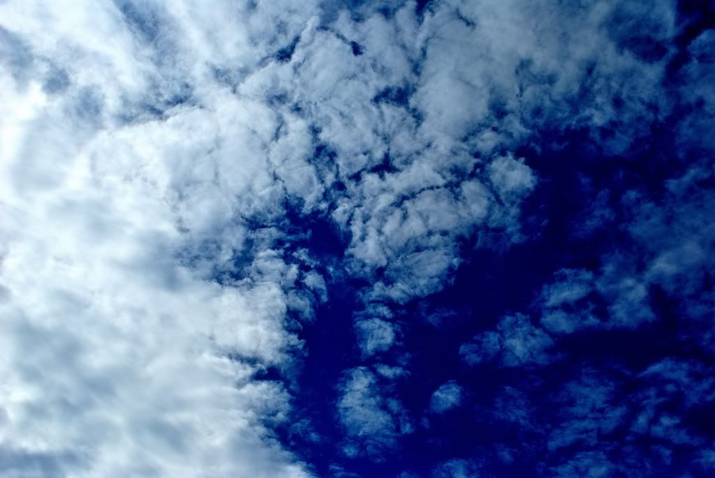 Bulut Resimleri (2. Katalog)