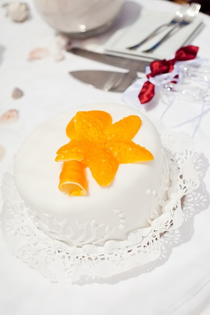 Pasta Resimleri (1. Katalog)