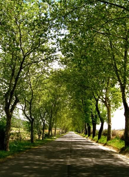 Yollar - Yol Resimleri (1. Katalog)