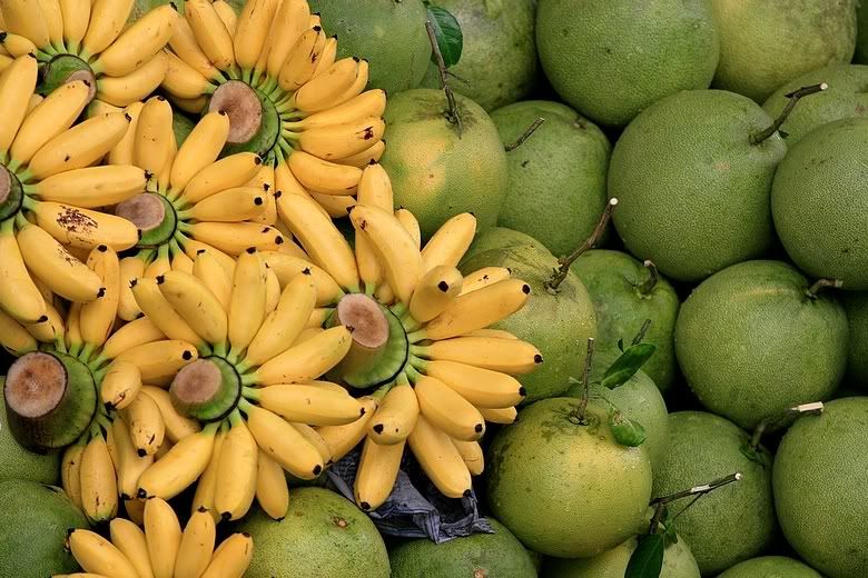 Meyve Resimleri (1. Katalog)