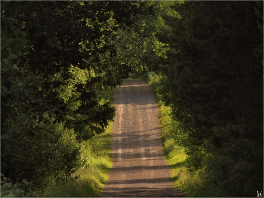 Juni162010035 - Yol Resimleri (2. Katalog) Juni162010035