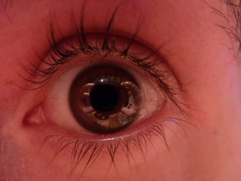 Gz Resimleri (6. Katalog)