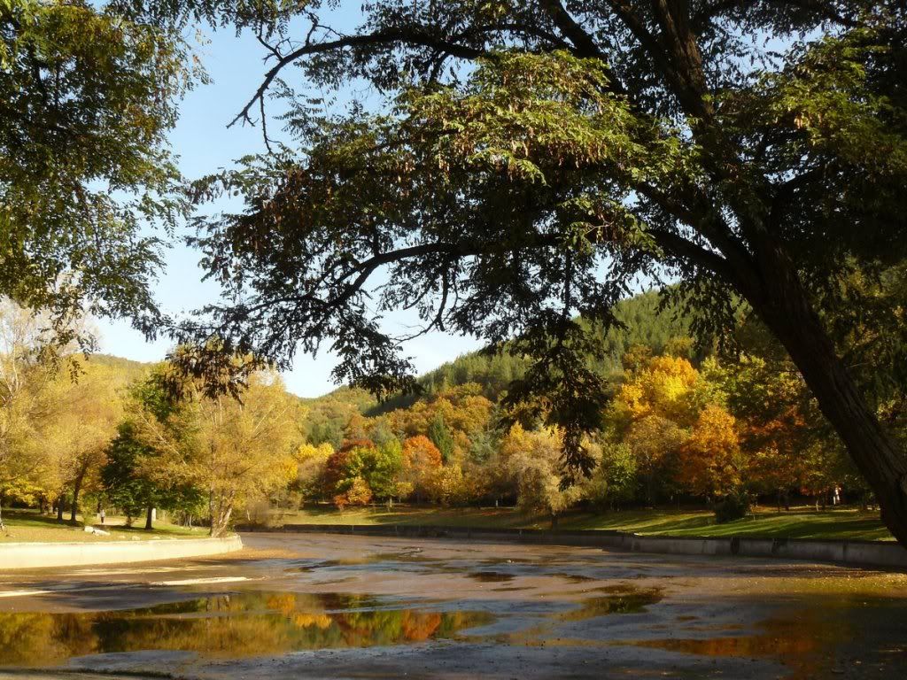 Aa Resimleri (4. Katalog)