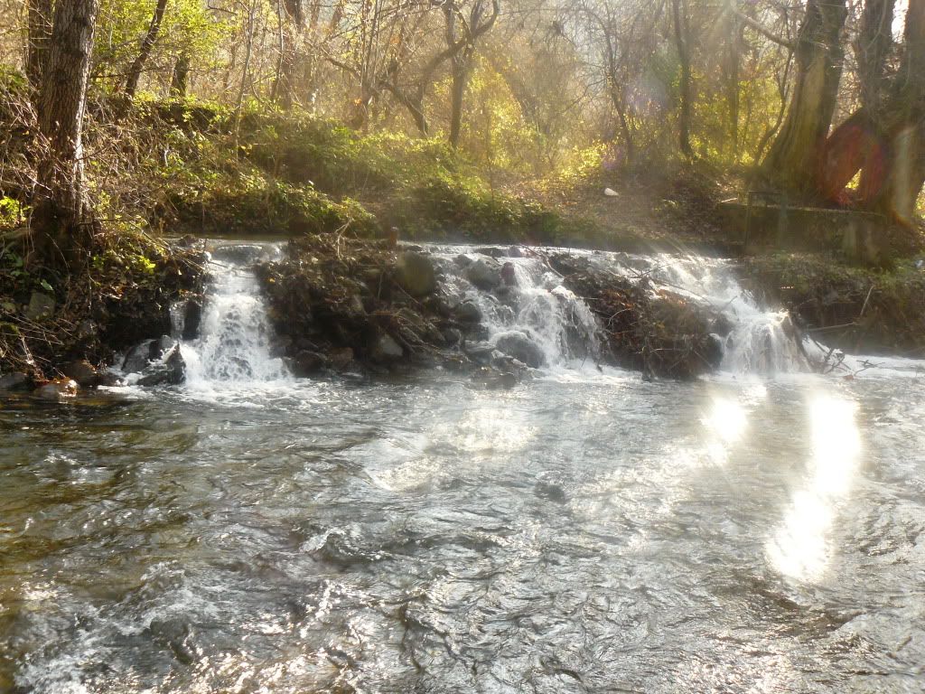 Doa ve Manzara Resimleri (5. Katalog)