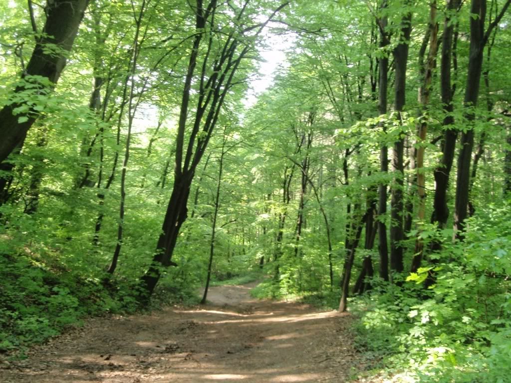 Aa Resimleri (4. Katalog)