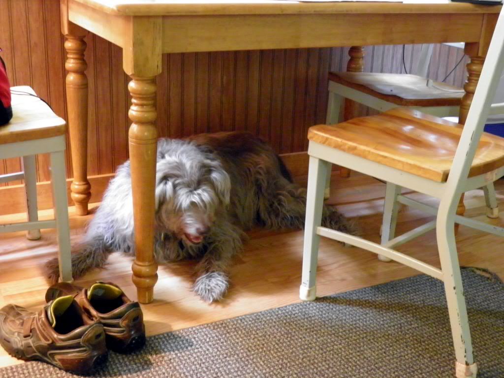 PENNY TABLE P9106387