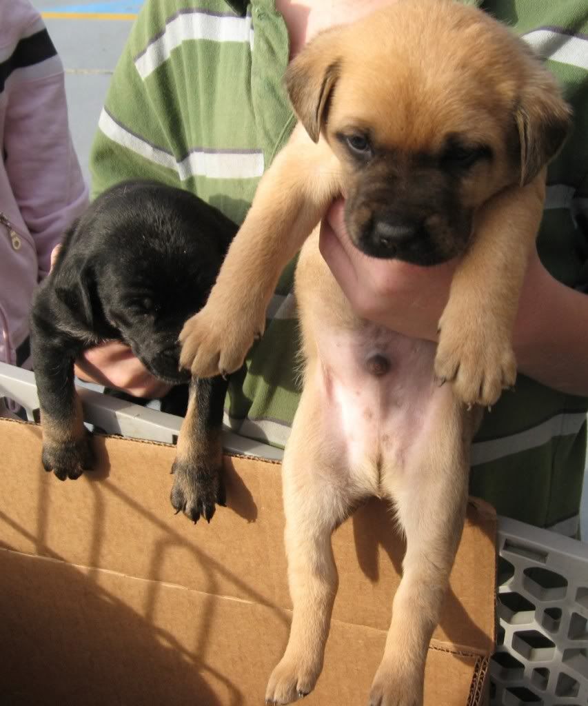 SearchforRoute3651 29 08