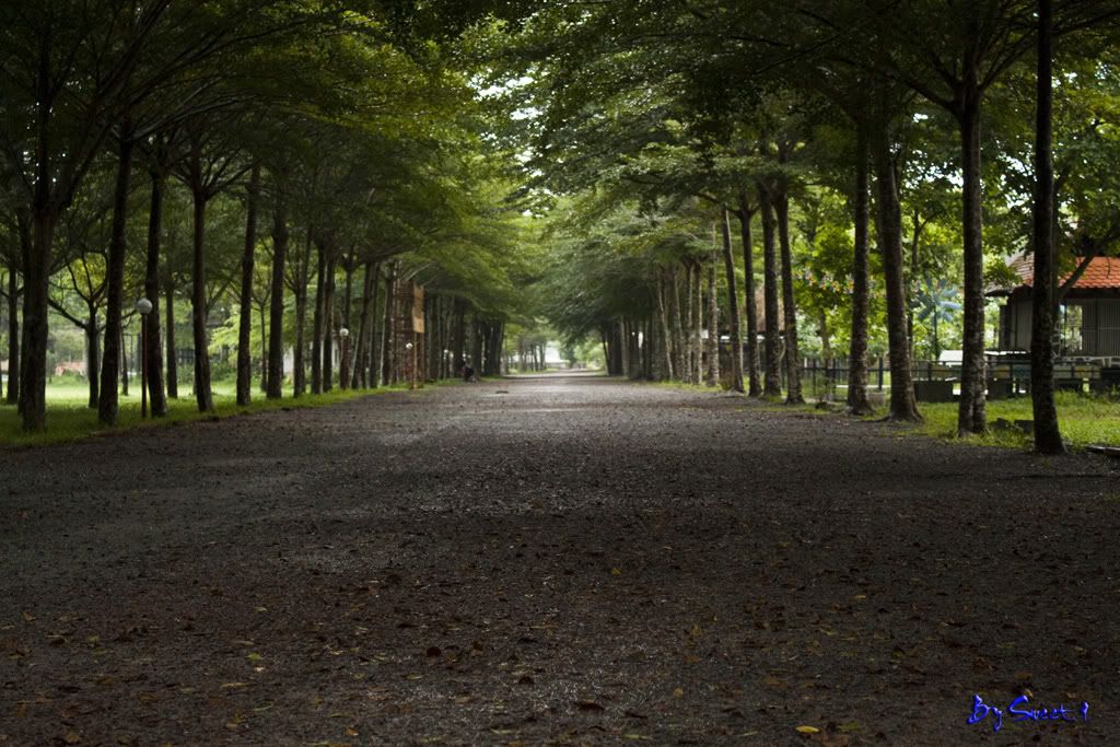 The path with nobody